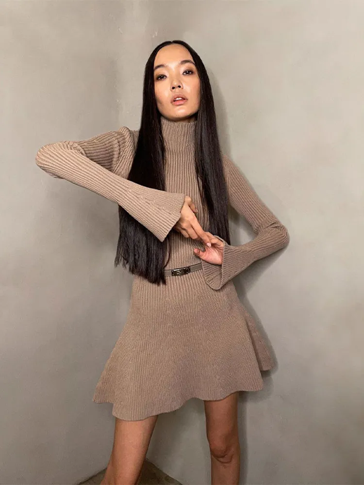 Blissful Bulwark A-Line Sweater Dress - Image 4